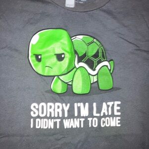 Gray Turtle Graphic T-Shirt sorry I’m late I didn’t want to come